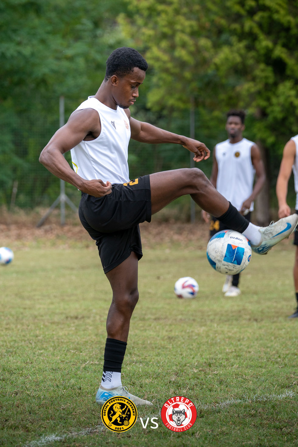 _STO739920250827_1307