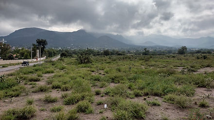 Arenal
