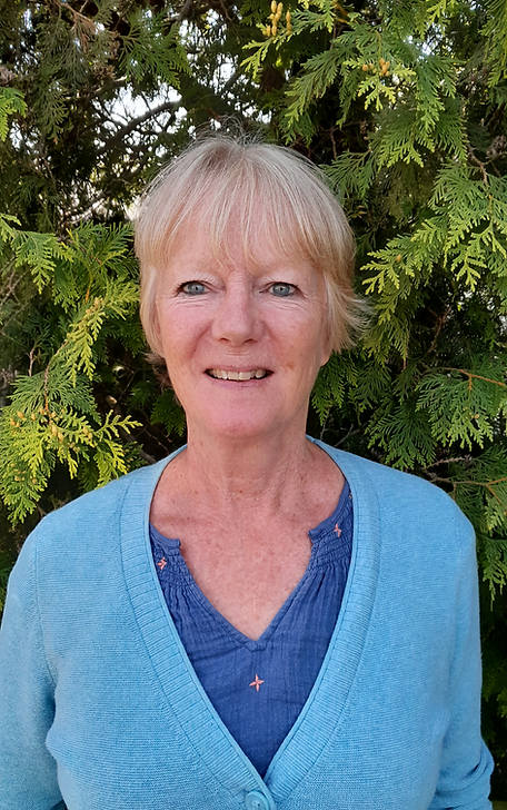 Di Website photo 2025