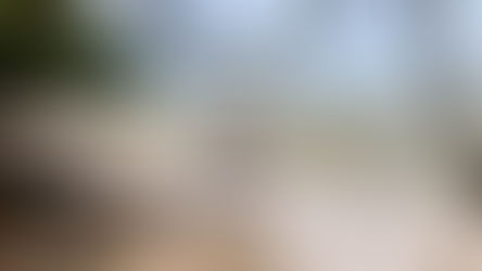 Sommerurlaub im Robinson Club Khao Lak – Lohnt sich die weite Reise?