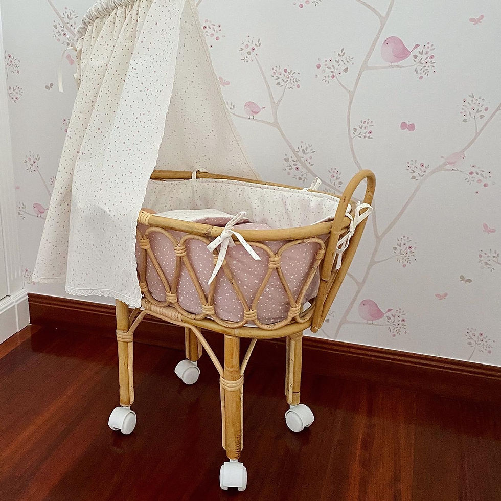 Moisés muñecas o bebe