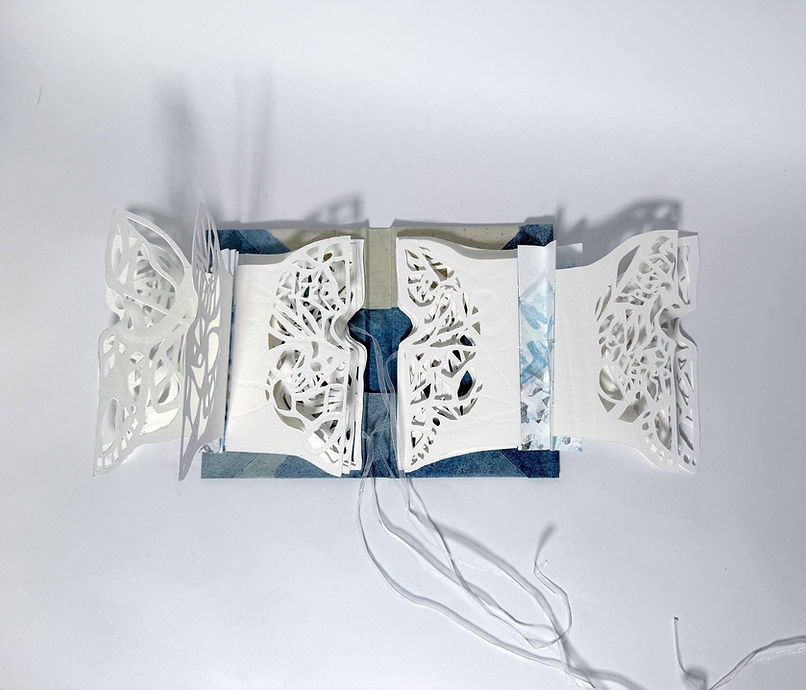 skulls_open_both_sides_variation copy.jpg