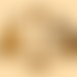 Gitarrenunterricht in Wien mit Zusatzleistungen: Playbacks, individuelle Sheets, verschiedene Gitarrenmodelle und Studio-Support