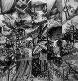 IMG_8332.jpeg