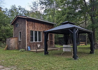 PXL_20240816_221109004.jpg
