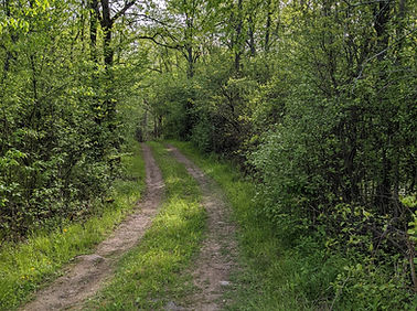 PXL_20220518_213854863.jpg
