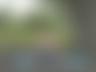 Embracing more light