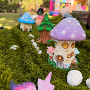 Enchanted forest