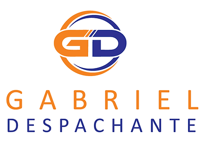 GABRIEL DESPACHANTE PNG.png