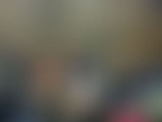 プロバスケットボール横浜エクセレンス試合観戦