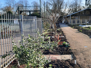 February in the Garden