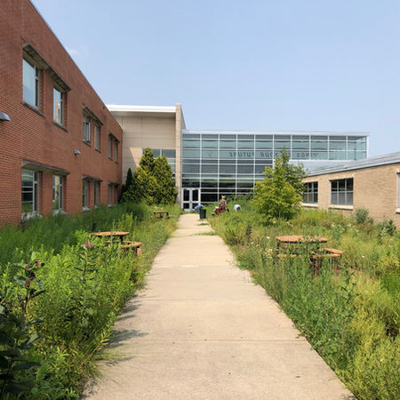 Wheaton North High School