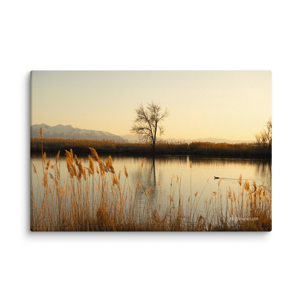 Sunset at the Lake on Canvas