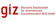 GIZ.webp