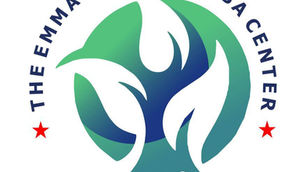 Exciting News: The Ivorgba Center Unveils Its New Logo!