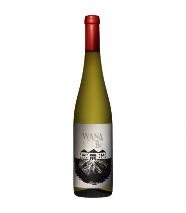 Wanabi Alvarinho White 2017
