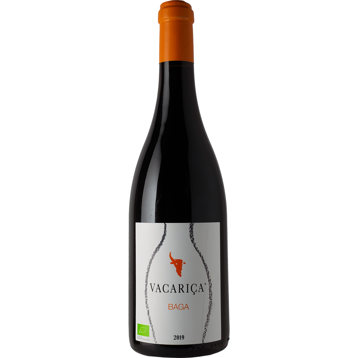 Vacariça Baga Ânfora