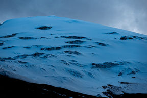 DSCF9529.jpg