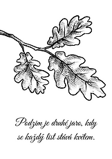Podzimní obrázky.png