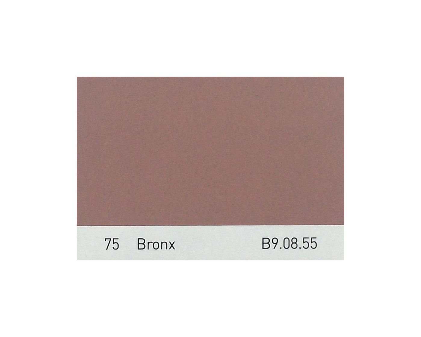 Color 75 Bronx