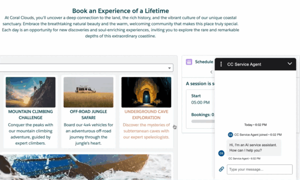 Salesforce agentforce