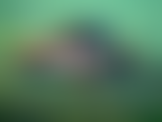 Pre-Listing Conservation for Grayling