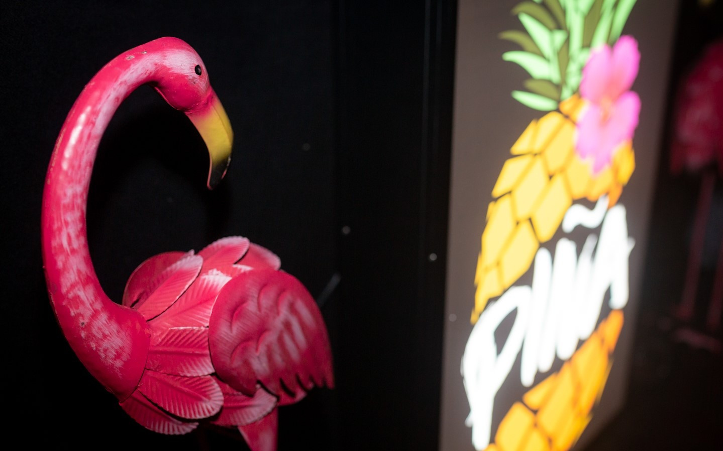 PIÑA | PIÑA