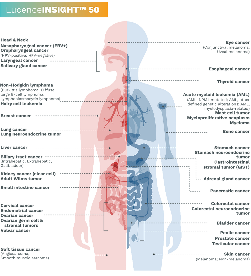insight-50-anatomy.png