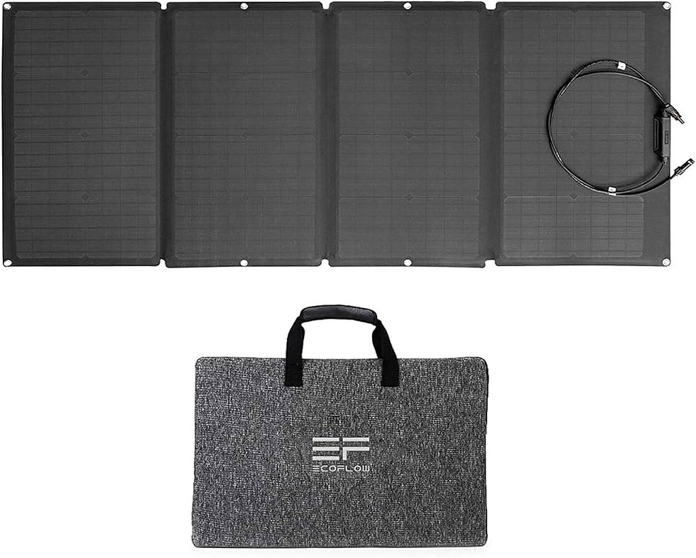 Miniatyrbild: Ecoflow Portabla solpanel (160W)