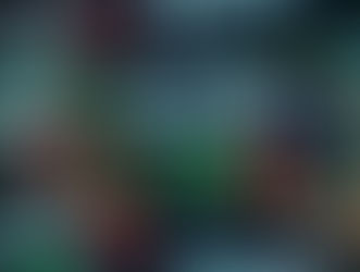 Ruptura da Barreira: Dólar Fecha Abaixo de R$ 5 pela Primeira Vez em Dois Anos