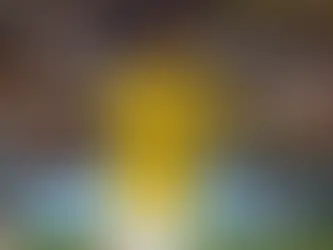 O Fim de uma Era: Neymar Anuncia Despedida da Seleção Brasileira e Declara: "Minha história já foi"