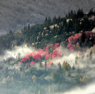 couleurs d'automne.jpg