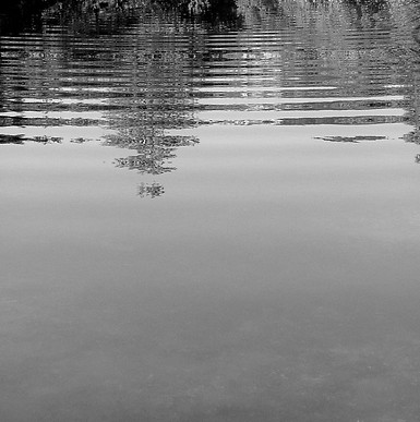 l'arbre se mire_edited.jpg