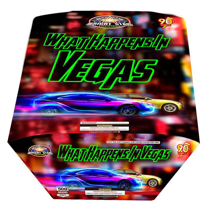 WHAT HAPPENS IN VEGAS 90'S