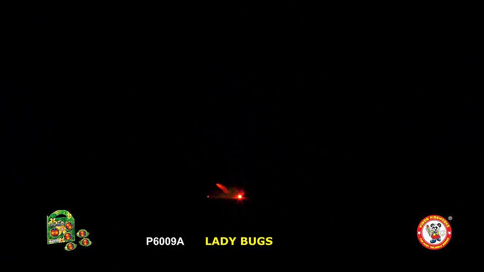 Thumbnail: LADY BUGS