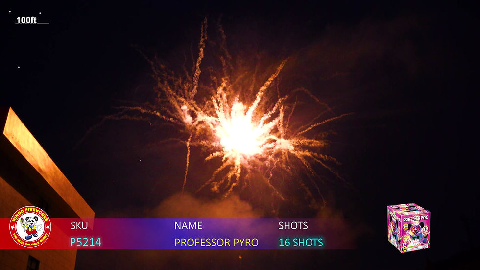 Thumbnail: PROFESSOR PYRO 16'S