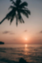 The Power of Mindful Living