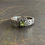 Miniatura: Designer Peridot Ring (3.0 Grams)
