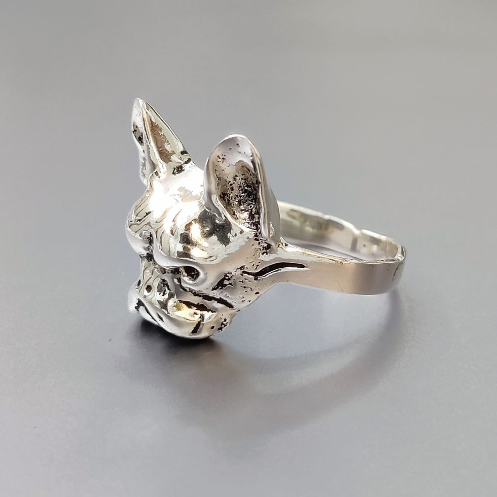 Miniatura: Plain Silver Ring (5.5 Grams)