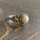 Miniatyrbild: Designer Pearl Ring (3.9 Grams)