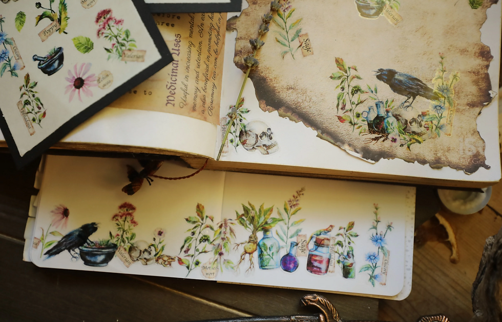 Thumbnail: Witch's Apothecary  Sticker Set