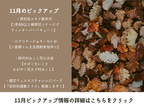 11月の観光情報ピックアップ