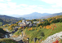 shutterstock_1898354080_edited.jpg