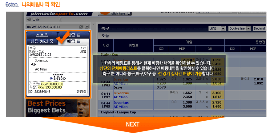 피나클, 스보벳, IBC, bet365, 벳365, 양방, 스포츠, 토토, 사설, 먹튀, 해외 에이전시, 에이전시, 축구, 야구, 농구, NBA, MLB