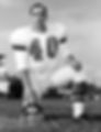 Doug-Specht-Windsor2-640x480.jpg
