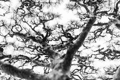 DSC_5789.jpeg