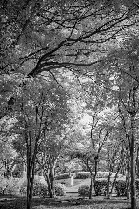 DSC_5277-2.jpeg