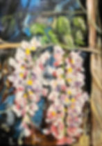 Wisteria