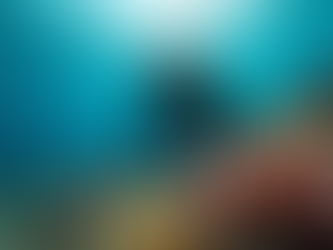 The Importance of Marine Conservation and the Role of Divers