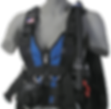 Thumbnail: Zeagle Zena BCD W/ Standard Panel